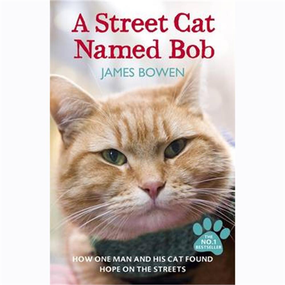 A Street Cat Named Bob: How one man and his cat found hope on the streets (Paperback) - James Bowen
